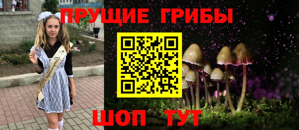 Галлюциногенные грибы Psilocybe  Вход с VPN  Красноперекопск  Псилоцибиновые грибы Psilocybe 